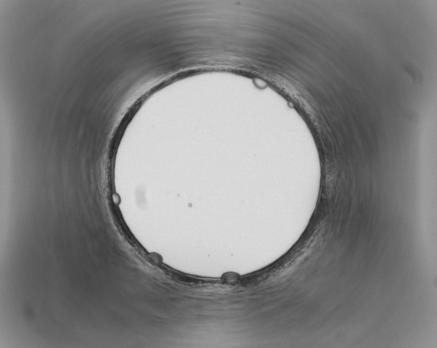X0000112211085200909181549