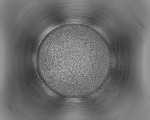 X0000112211086200909181549