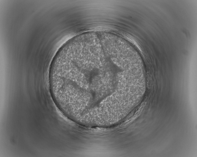 X0000112211087200909181549