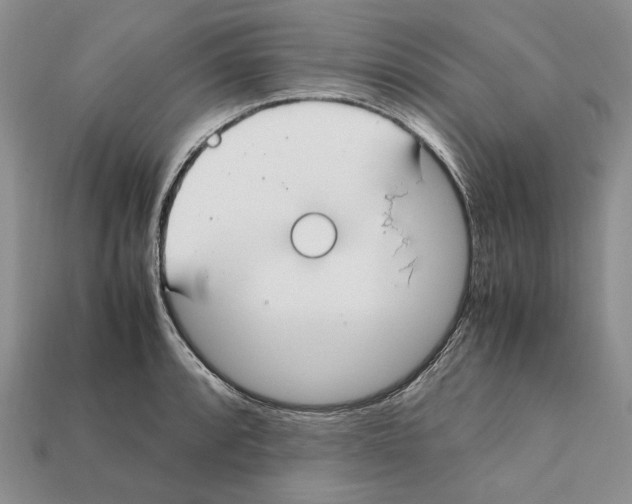 X0000112211088200909181549