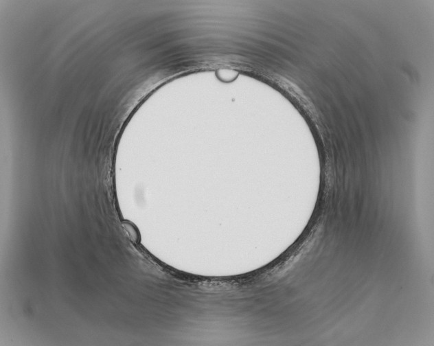 X0000112211089200909181549