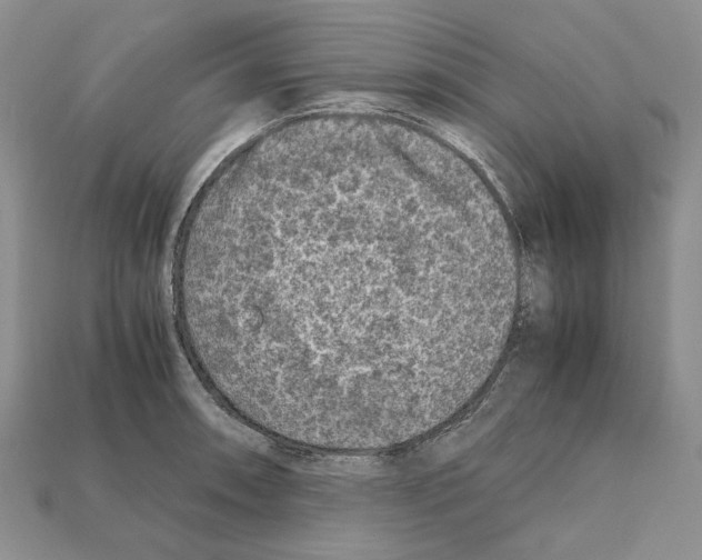 X0000112211090200909181549