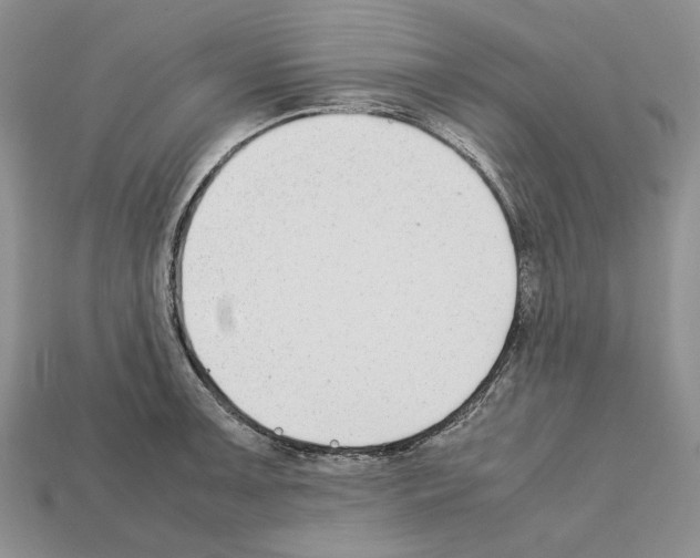 X0000112211091200909181549