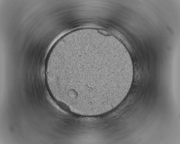 X0000112211092200909181549
