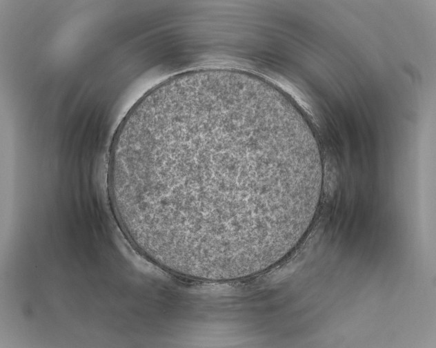 X0000112211094200909181549