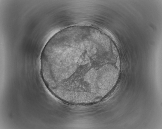X0000112211095200909181549