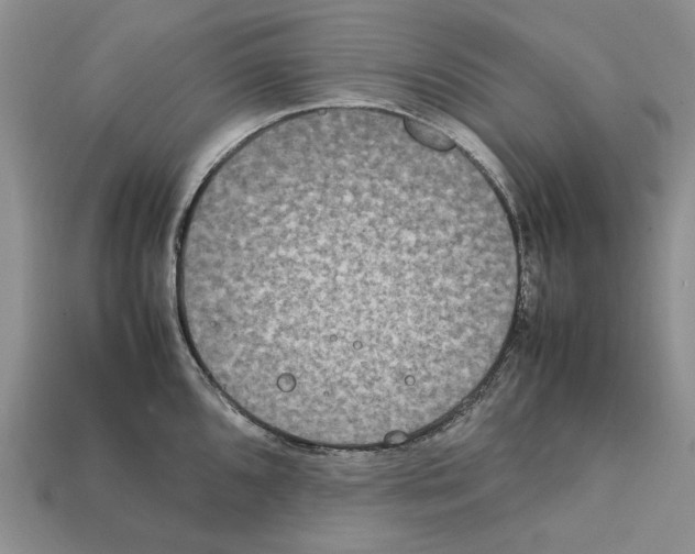 X0000112211096200909181549