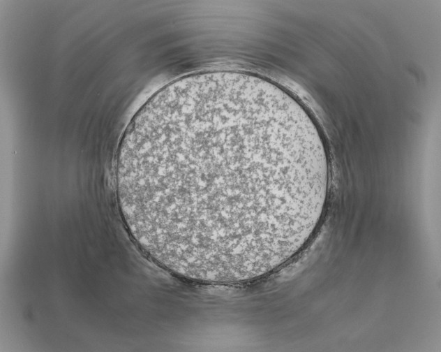 X0000112211097200909181549