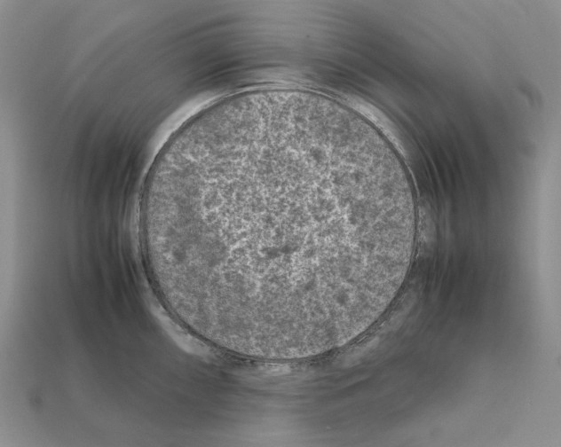 X0000112211098200909181549