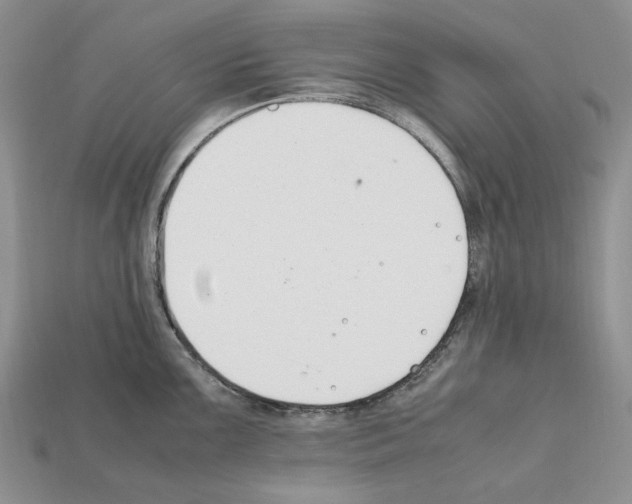 X0000112211099200909181549