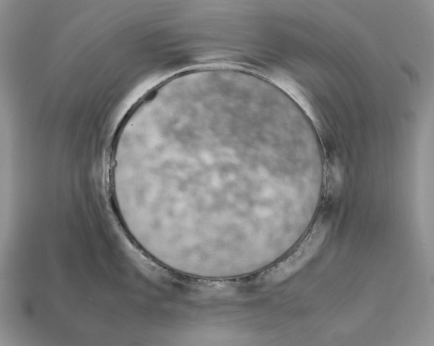X0000112211101200909181549