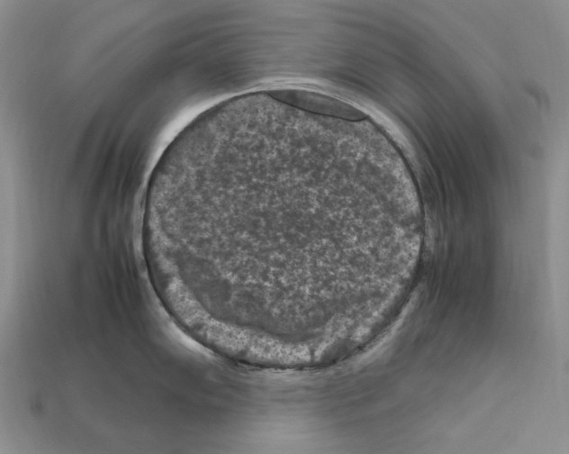 X0000112211102200909181549
