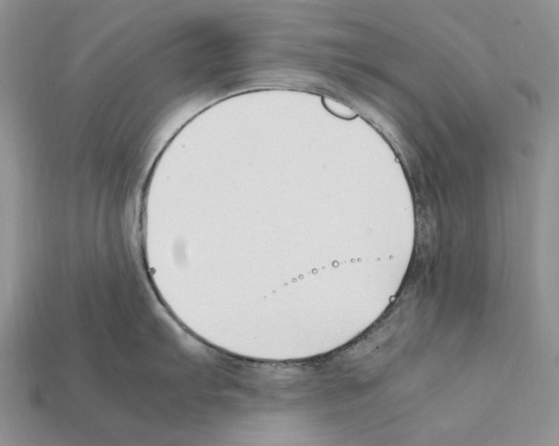 X0000112211103200909181549