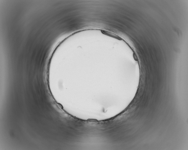 X0000112211104200909181549