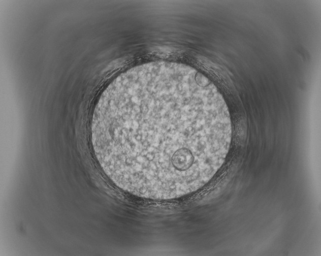 X0000112211105200909181548