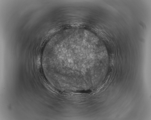 X0000112211106200909181548