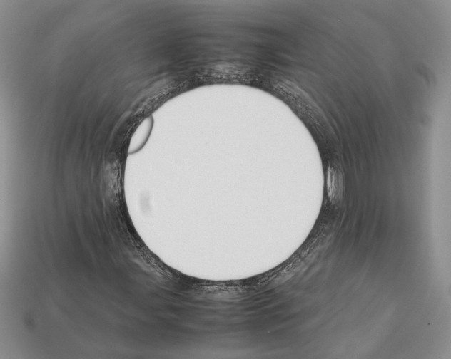 X0000112211107200909181548