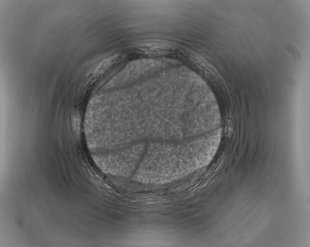 X0000112211108200909181548