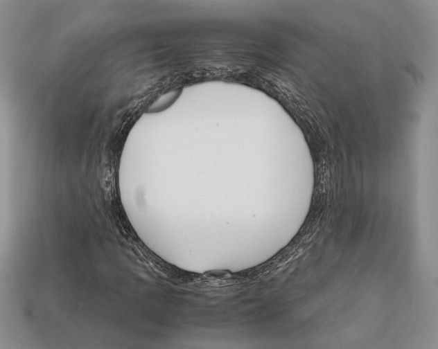 X0000112211109200909181548
