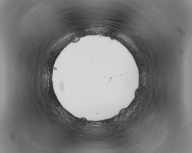 X0000112211111200909181548