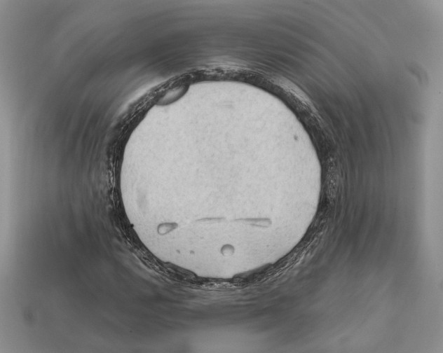 X0000112211112200909181548