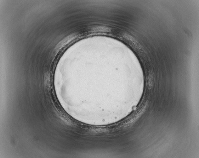 X0000112211113200909181548