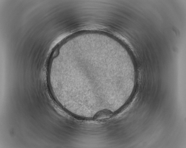 X0000112211114200909181548