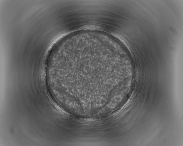 X0000112211115200909181548