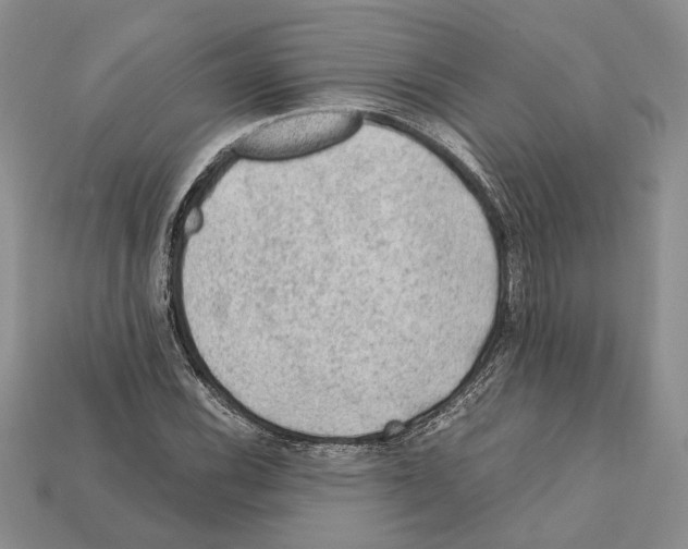 X0000112211116200909181548