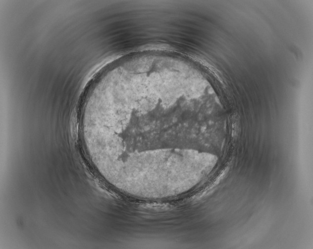 X0000112211117200909181548
