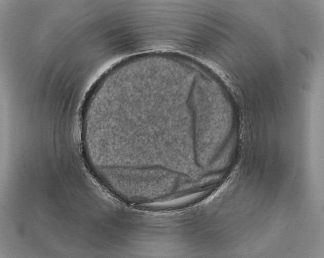 X0000112211118200909181548