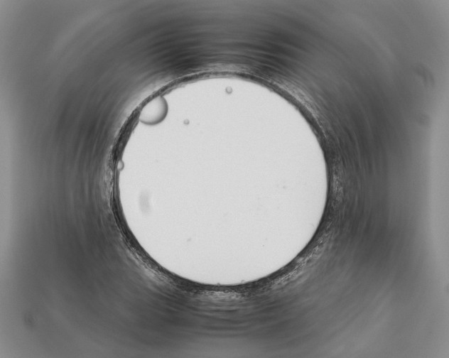 X0000112211119200909181548