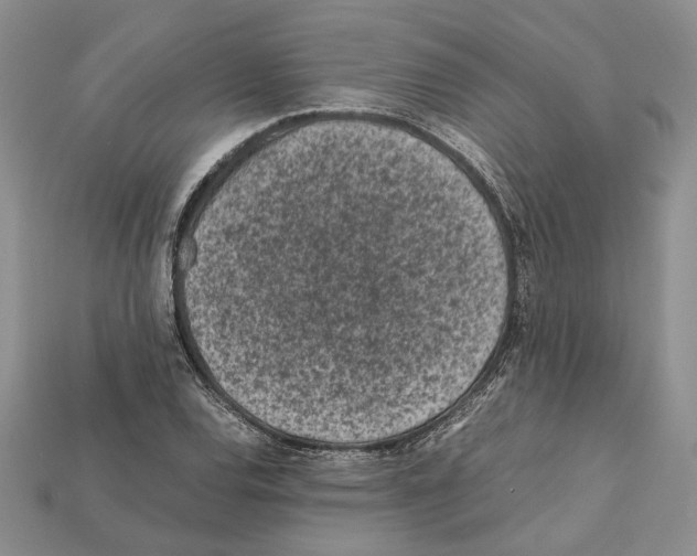 X0000112211120200909181548