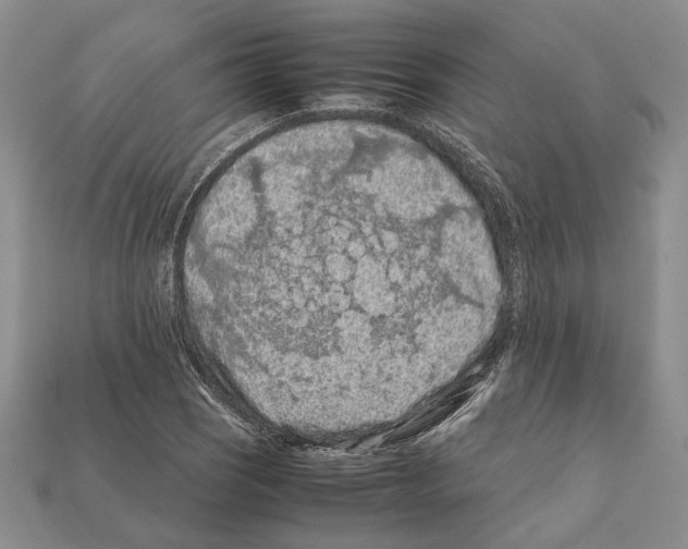 X0000112211121200909181548