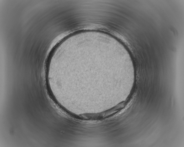 X0000112211122200909181548