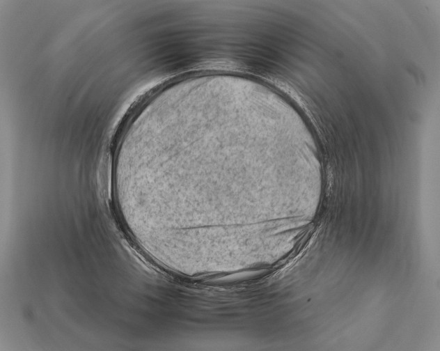 X0000112211123200909181548