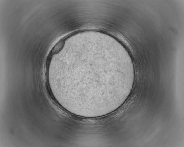 X0000112211124200909181548
