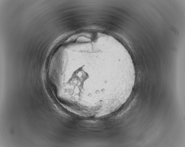X0000112211125200909181548