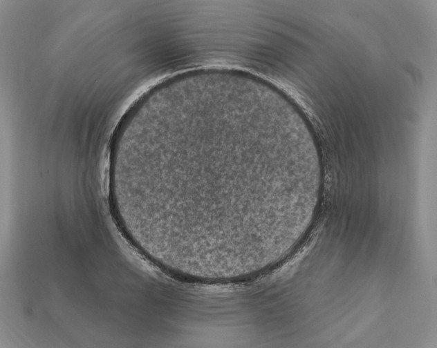 X0000112211126200909181548