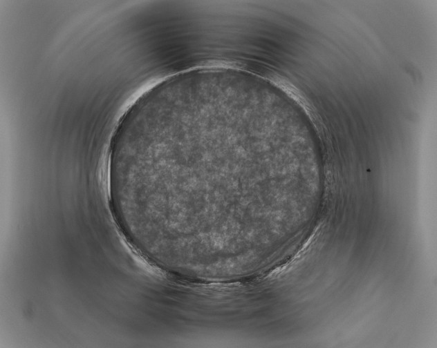 X0000112211127200909181548
