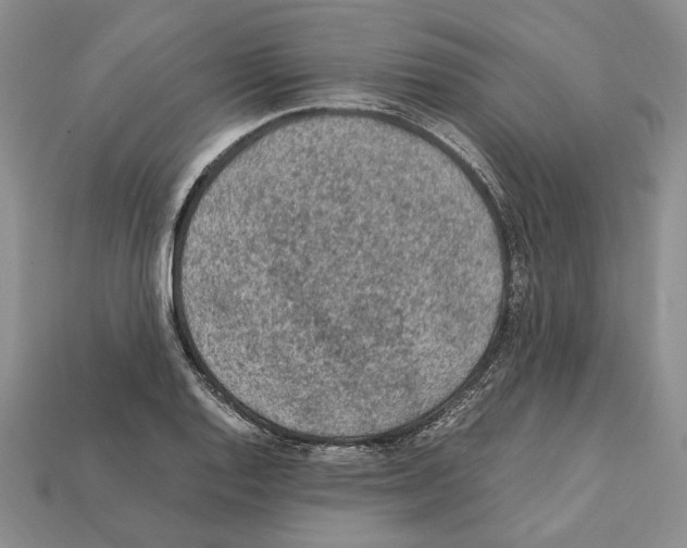 X0000112211128200909181548