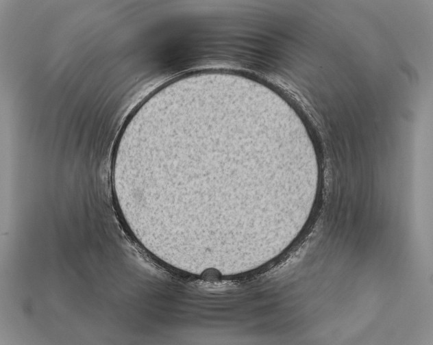 X0000112211129200909181548