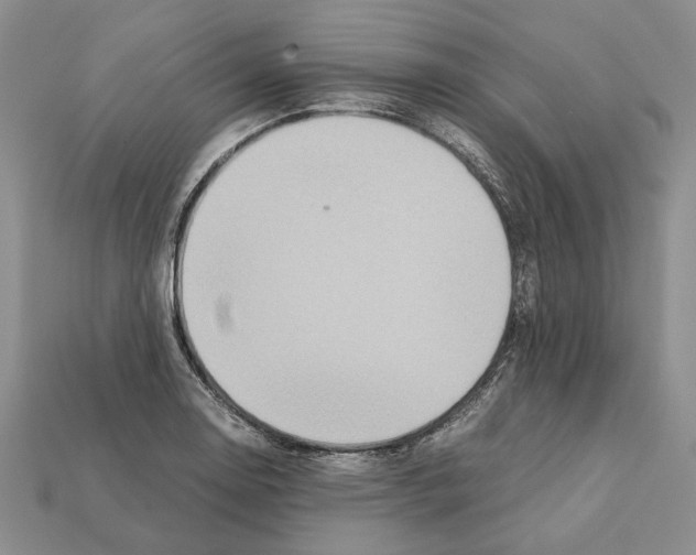 X0000112211130200909181548