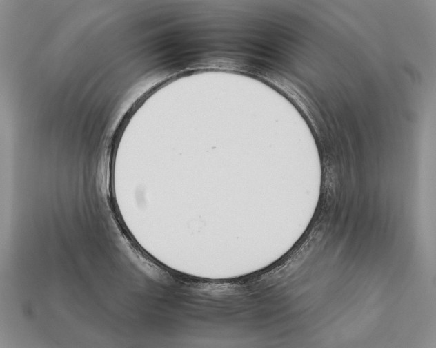 X0000112211131200909181548