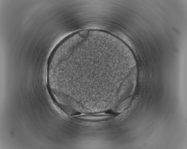 X0000112211132200909181548