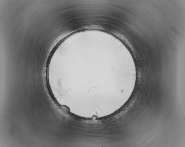X0000112211133200909181548