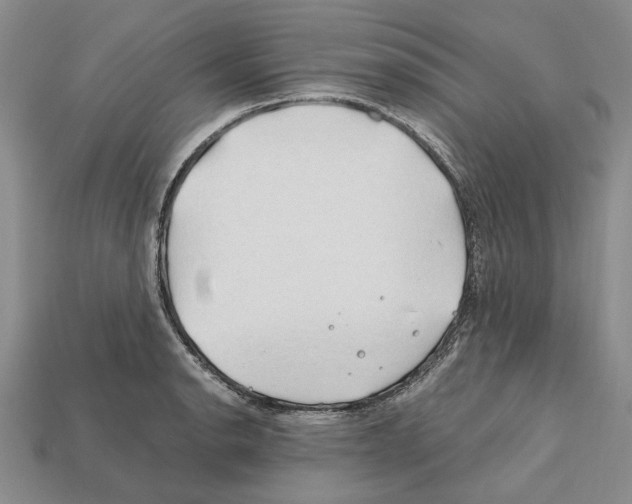 X0000112211134200909181548