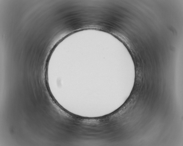 X0000112211135200909181548