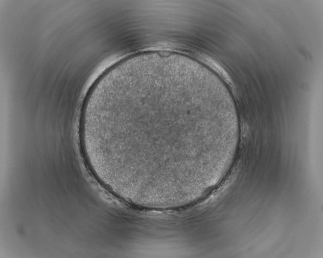 X0000112211138200909181548