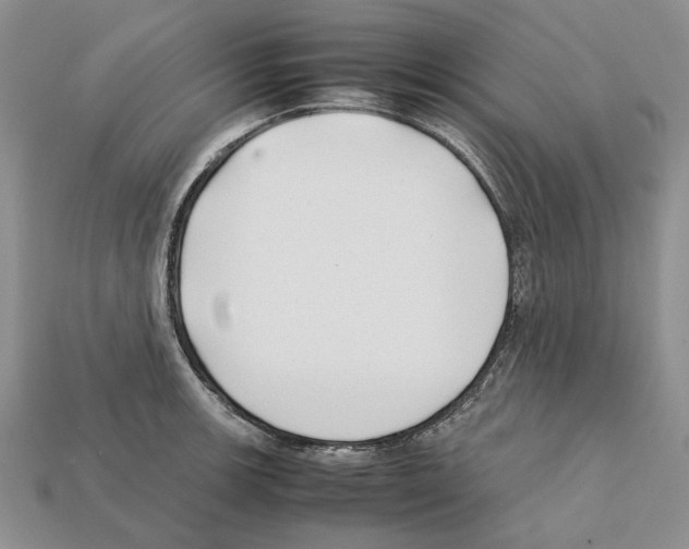 X0000112211139200909181548